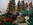 Weihnachten im Huma Sankt Augustin, Weihnachtseinkauf, Weihnachtsdekoration, Weihnachtsbaum
